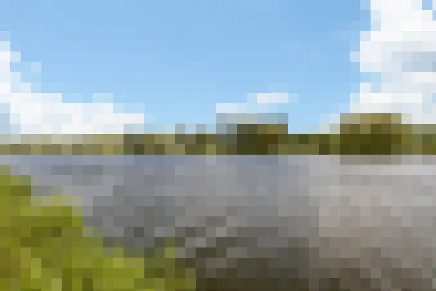 Zwanebloem 9 De Meern thumbnail 48