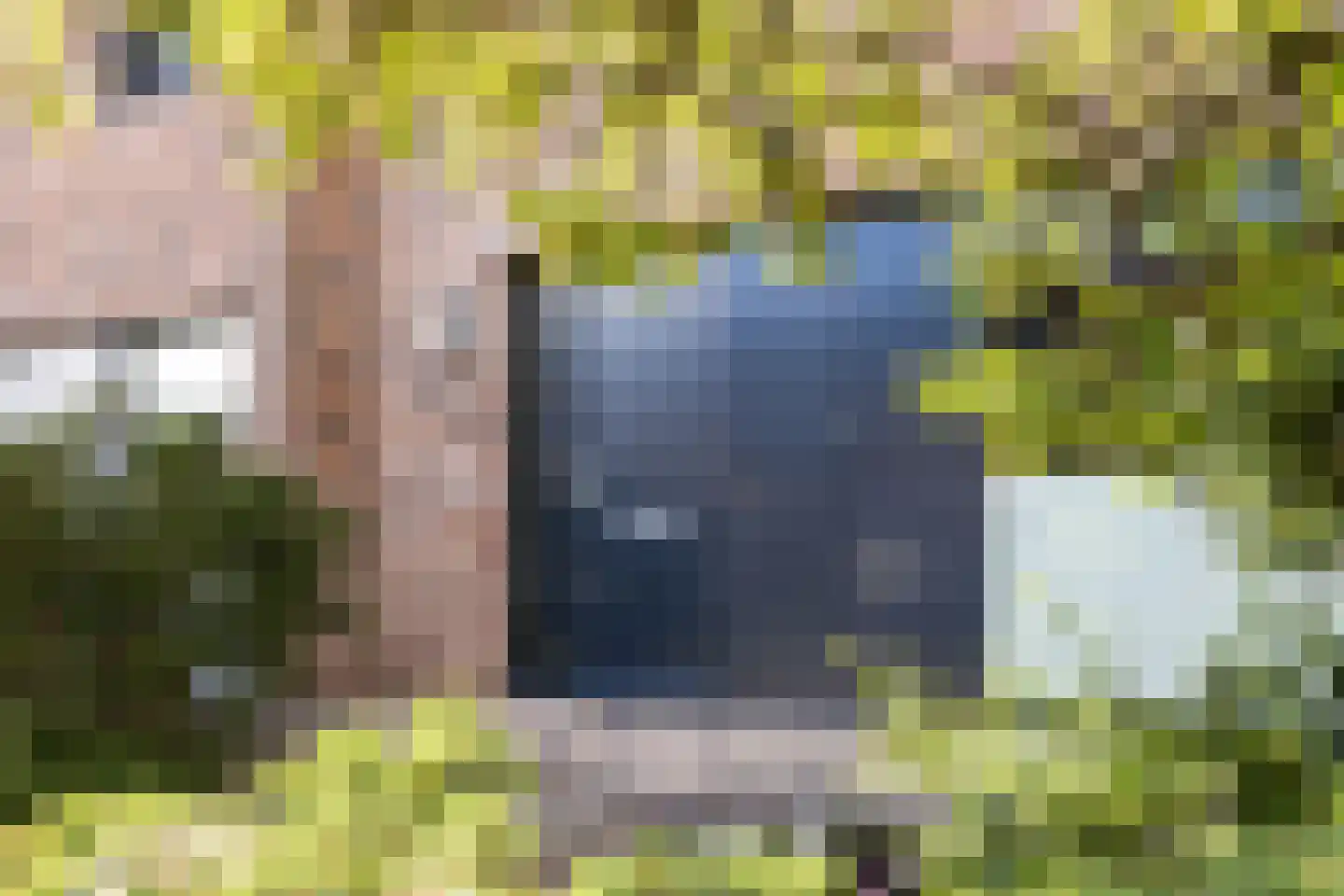 Zwanebloem 9 De Meern thumbnail 5