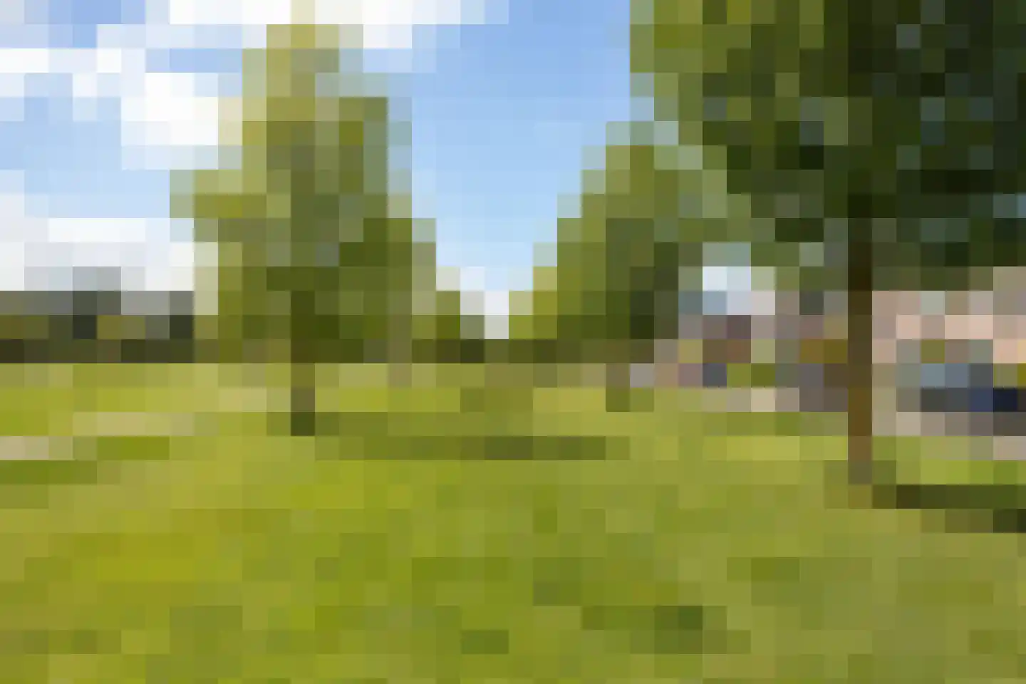 Zwanebloem 9 De Meern thumbnail 6