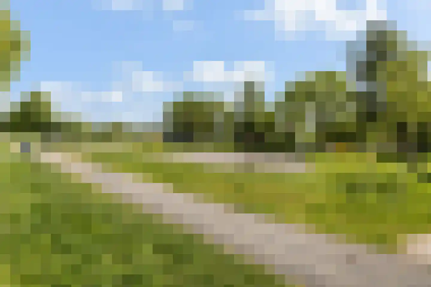 Zwanebloem 9 De Meern thumbnail 7