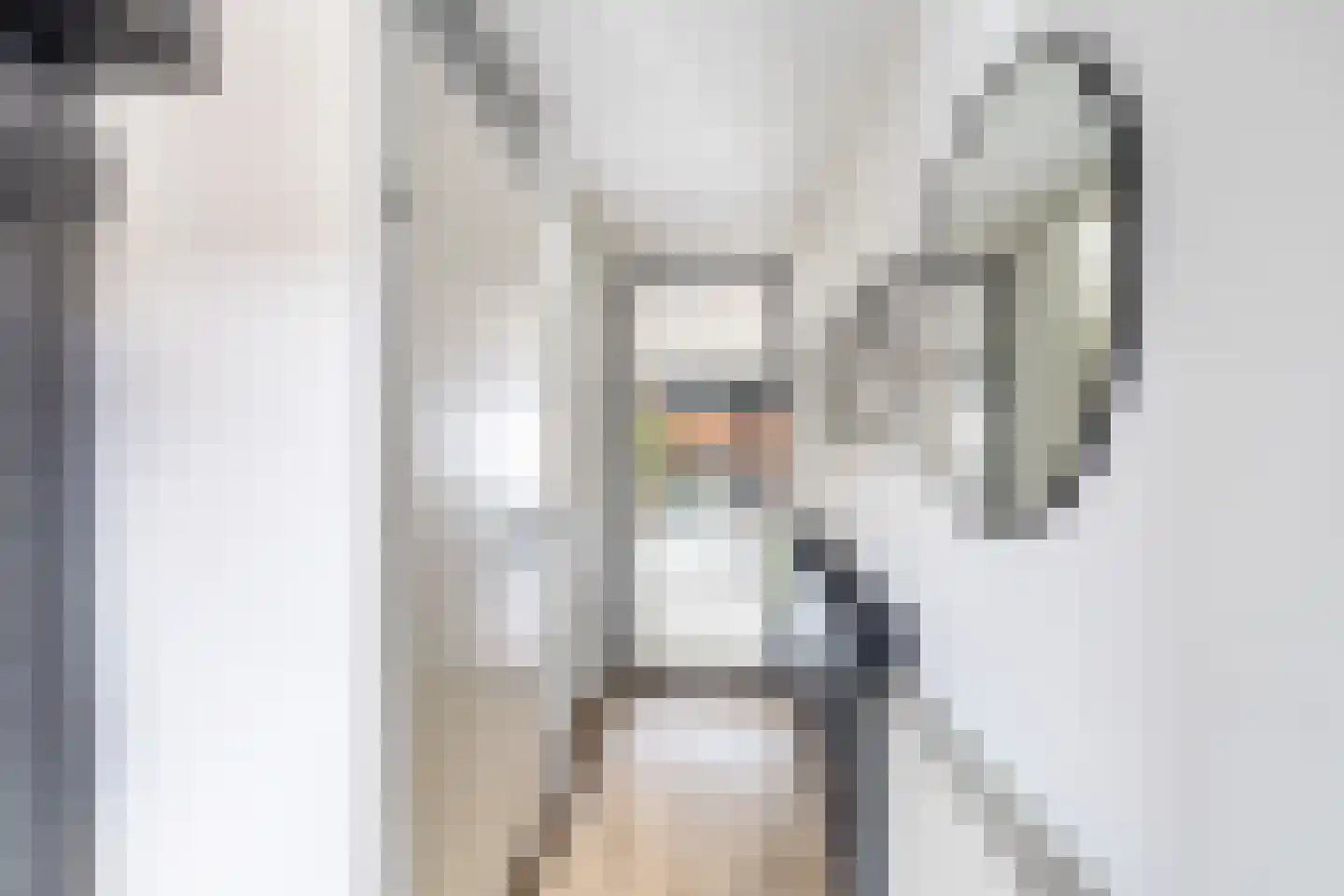 Zwanebloem 9 De Meern thumbnail 8