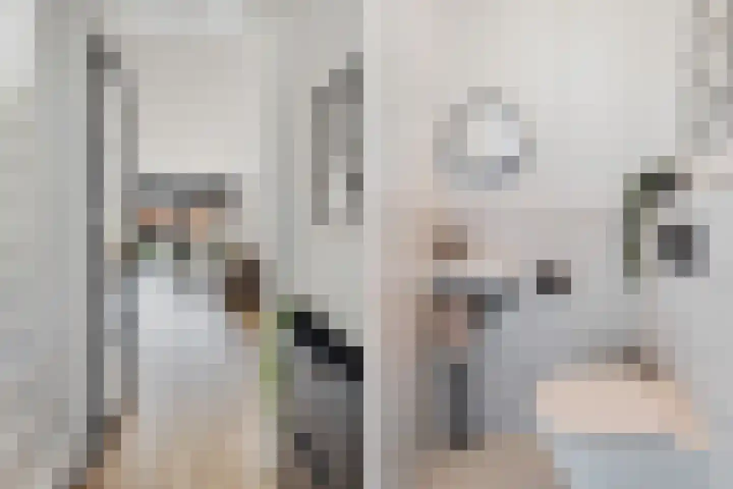 Zwanebloem 9 De Meern thumbnail 9