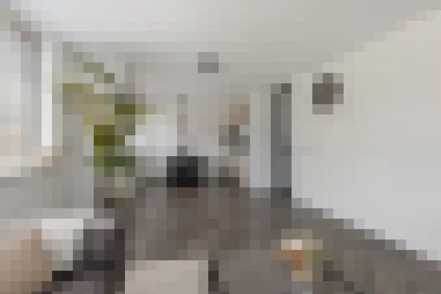 Zwanebloembocht 1 Velserbroek thumbnail 10