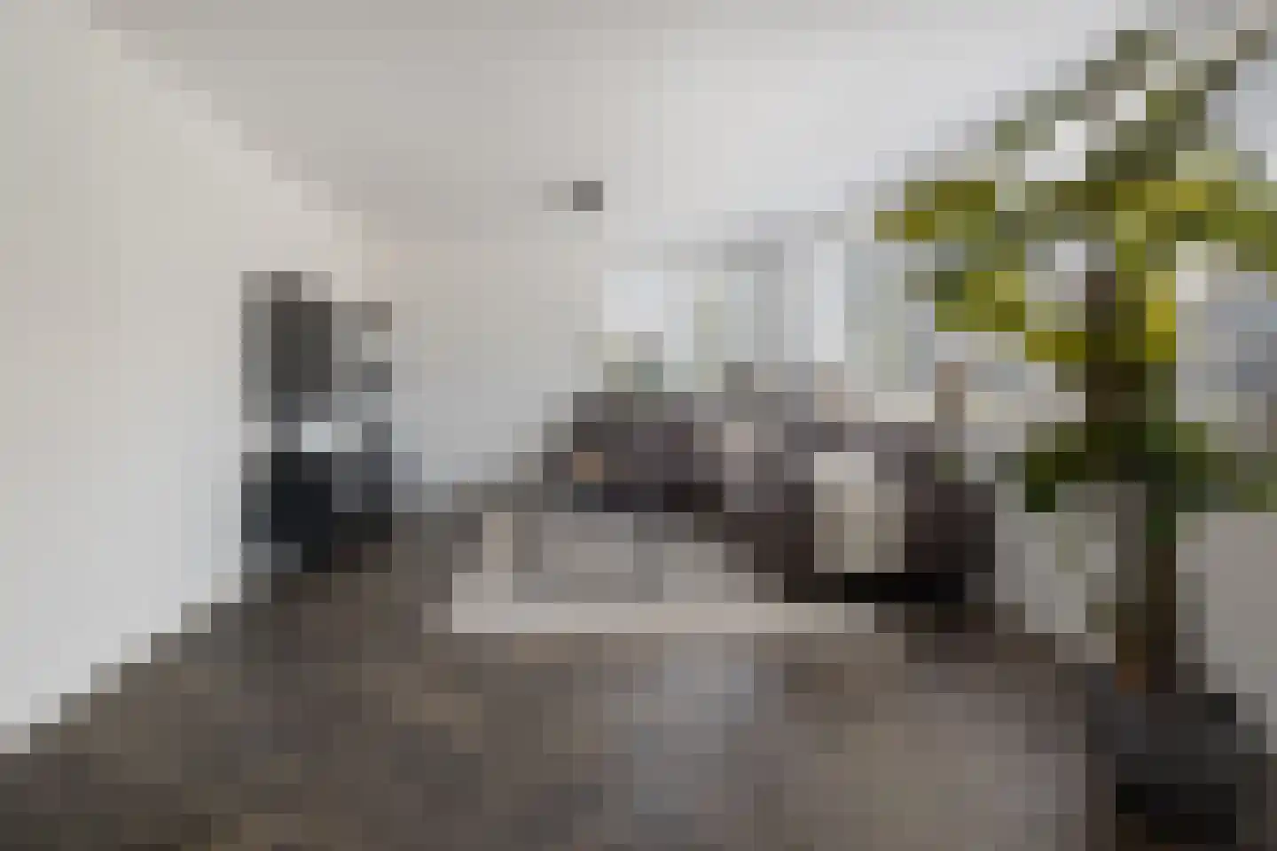 Zwanebloembocht 1 Velserbroek thumbnail 11
