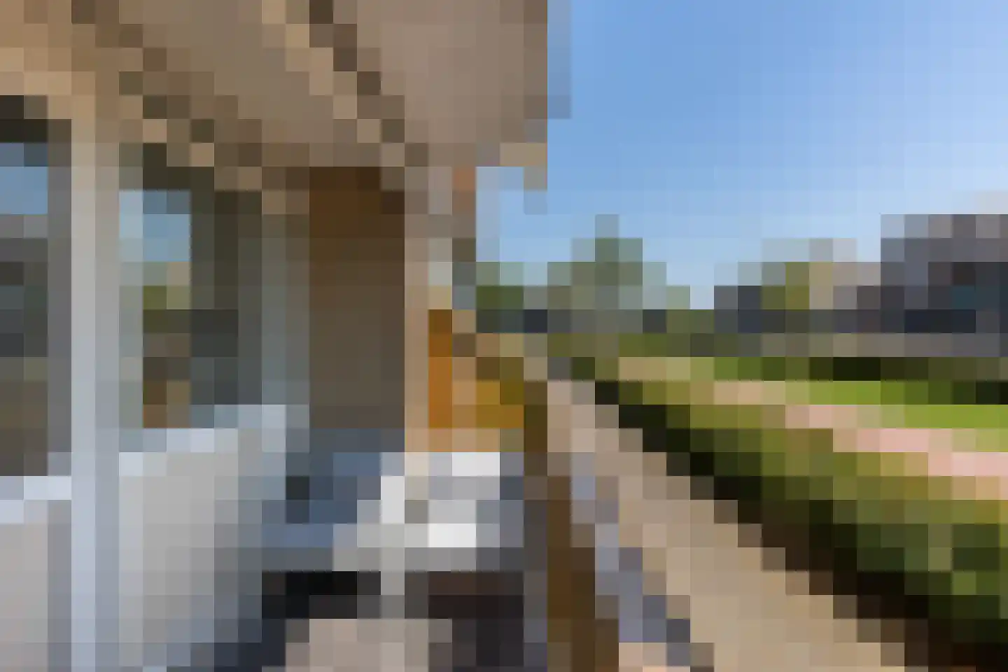 Zwanebloembocht 1 Velserbroek thumbnail 19