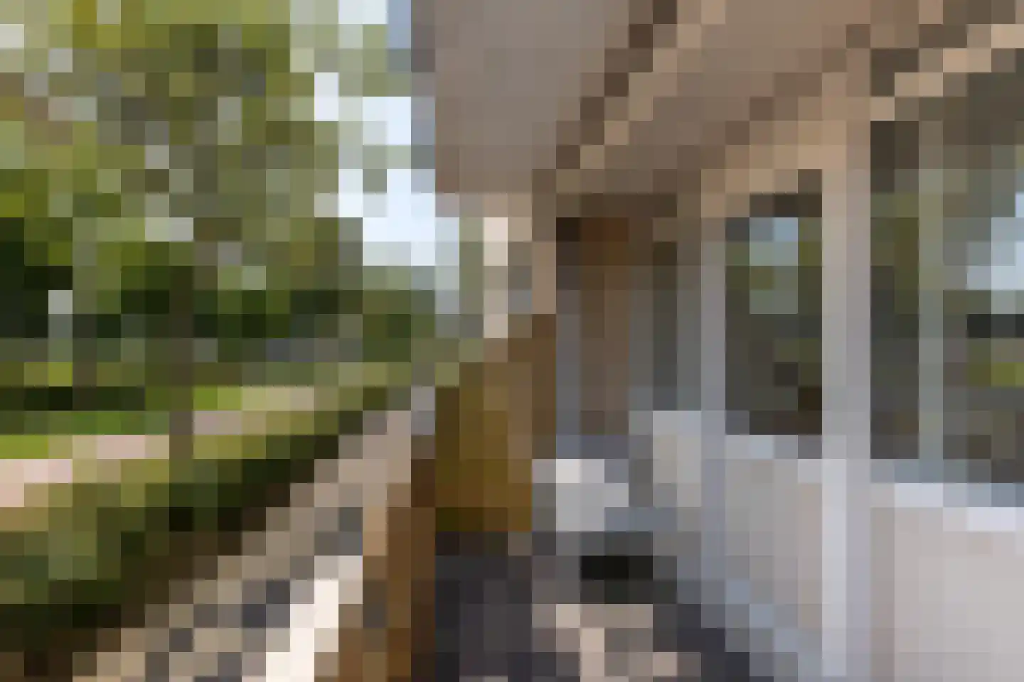 Zwanebloembocht 1 Velserbroek thumbnail 20