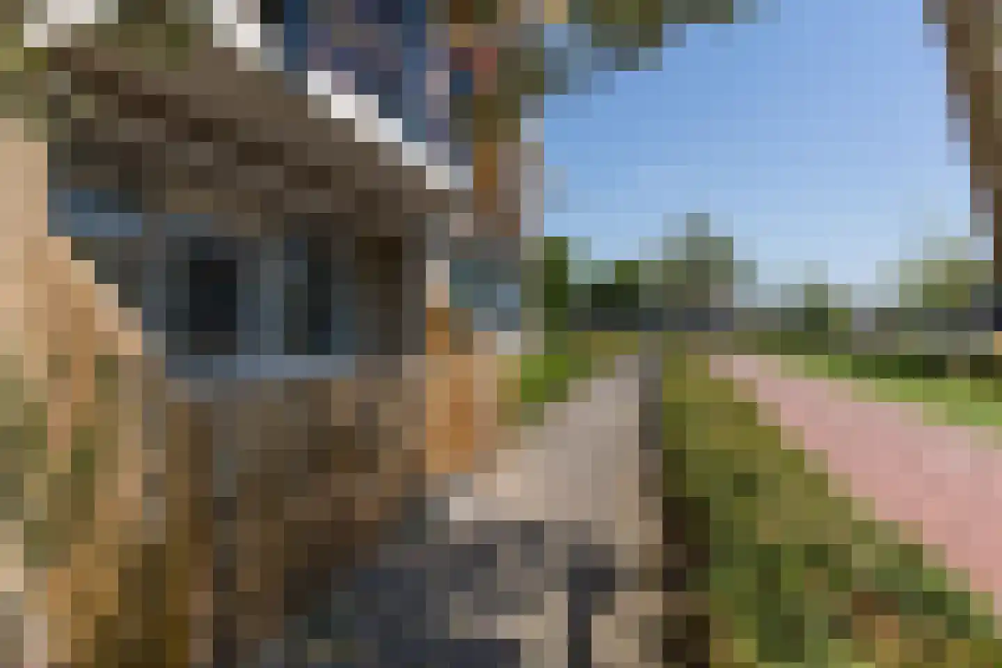 Zwanebloembocht 1 Velserbroek thumbnail 21