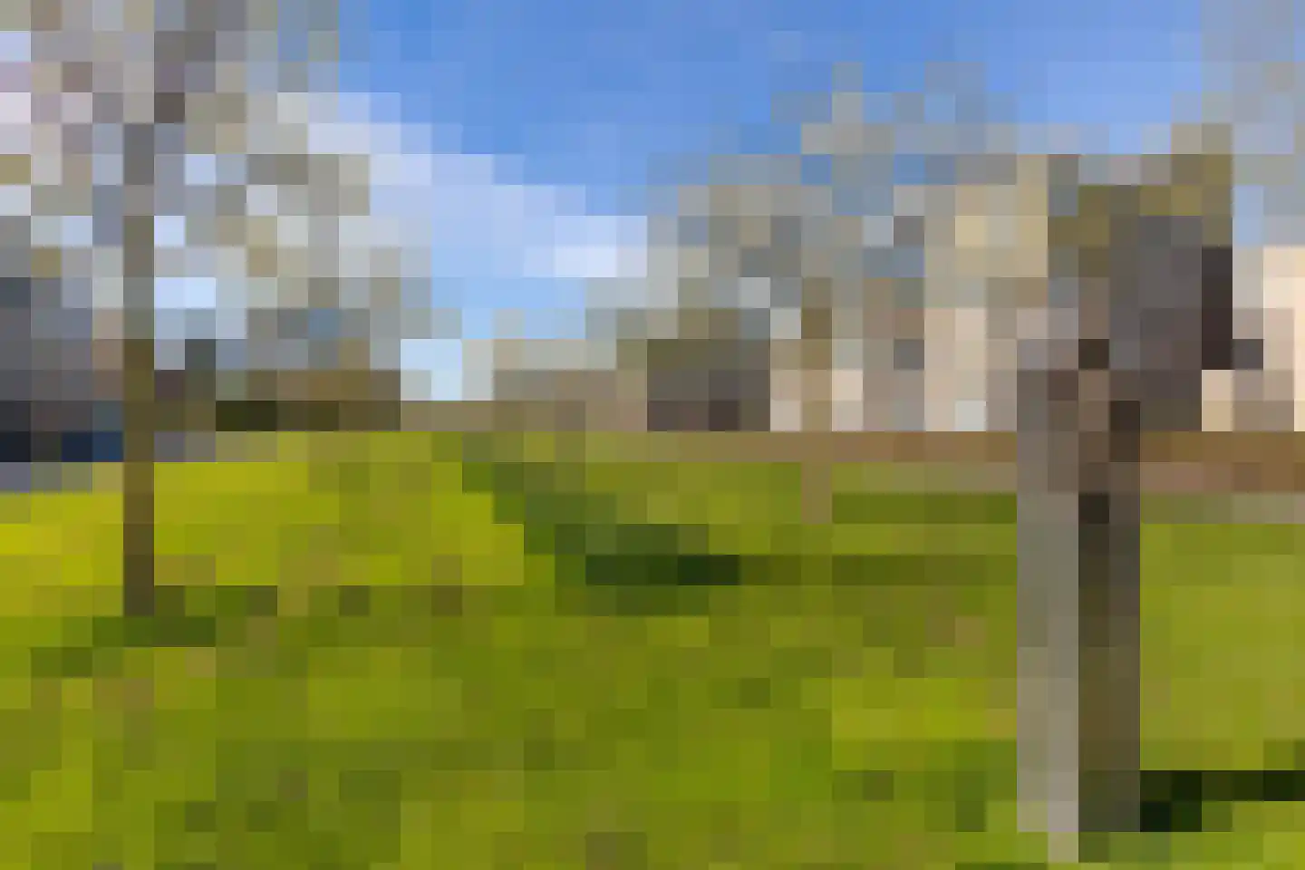 Zwanebloembocht 1 Velserbroek thumbnail 26