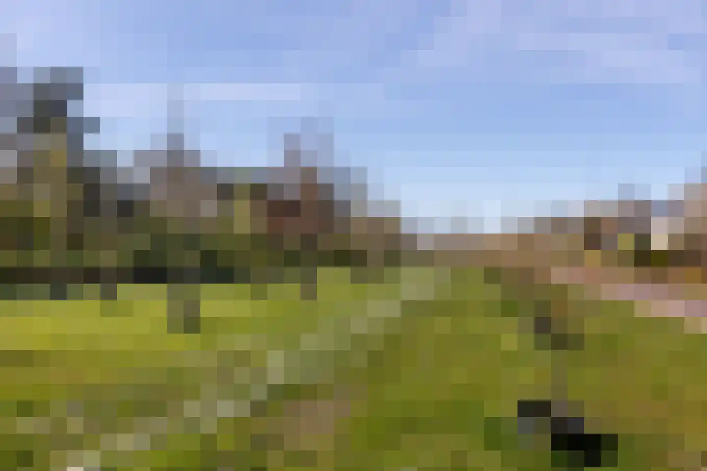 Zwanebloembocht 1 Velserbroek thumbnail 27