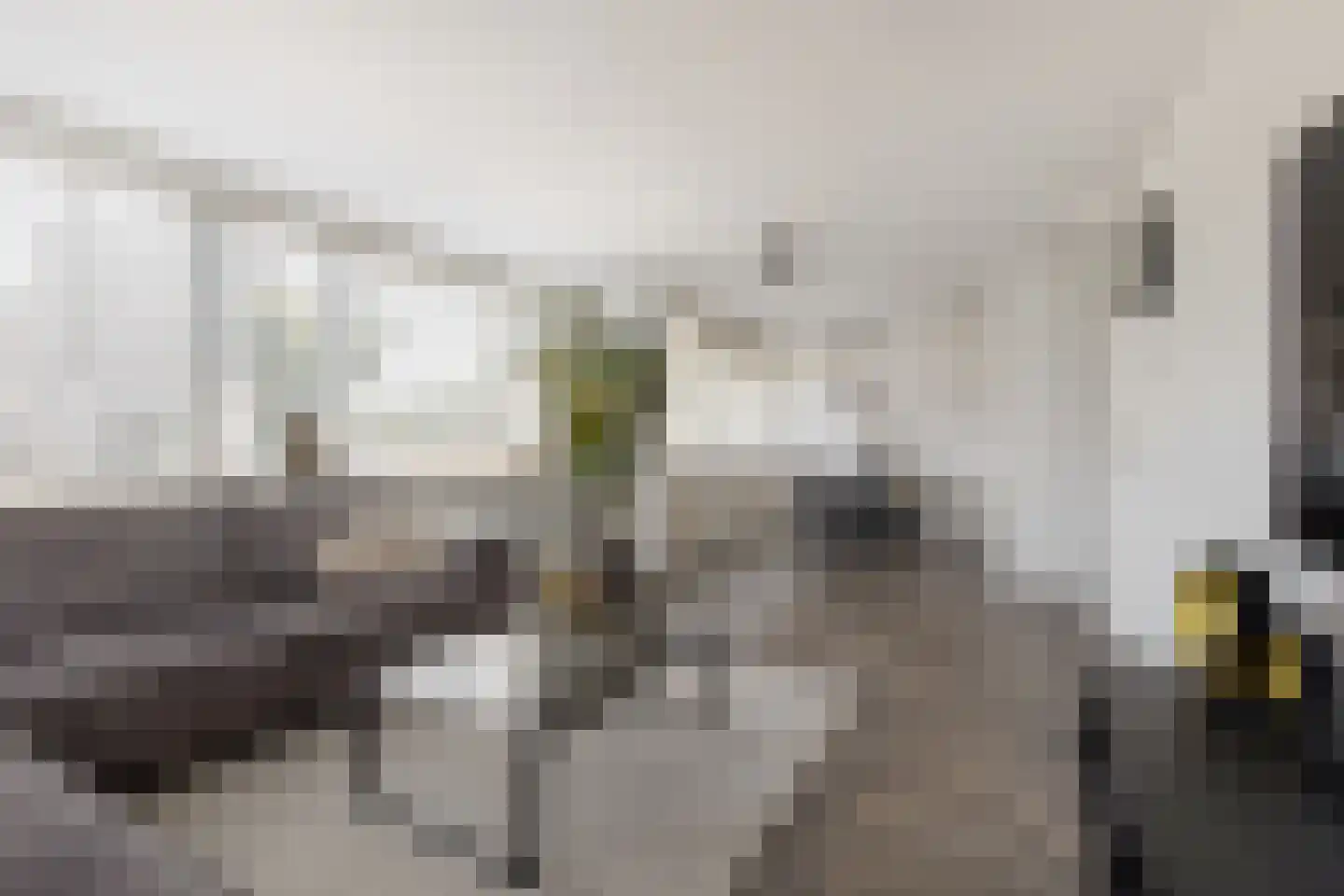 Zwanebloembocht 1 Velserbroek thumbnail 4
