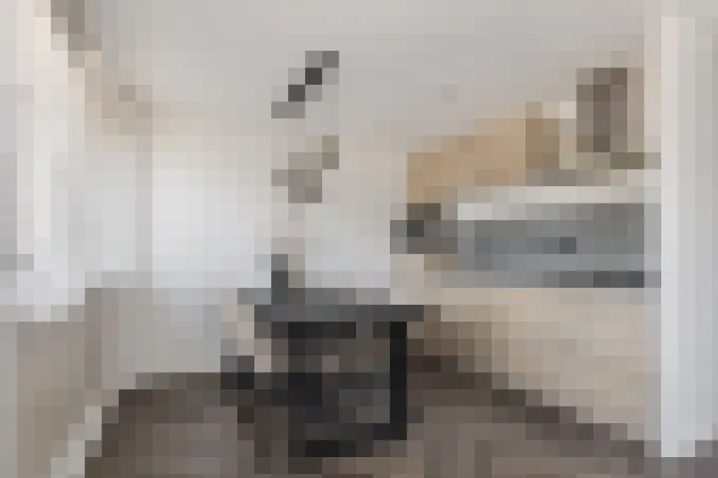 Zwanebloembocht 1 Velserbroek thumbnail 5