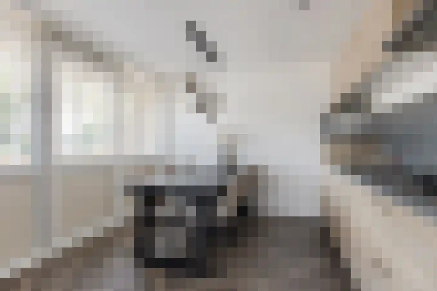 Zwanebloembocht 1 Velserbroek thumbnail 7