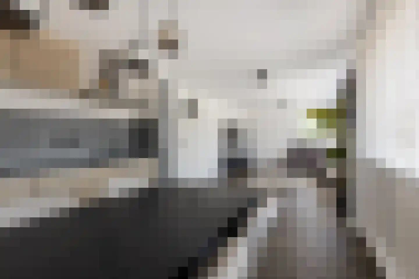 Zwanebloembocht 1 Velserbroek thumbnail 9