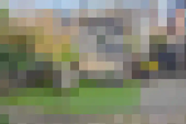 Zwanebloembocht 108 Velserbroek thumbnail 25