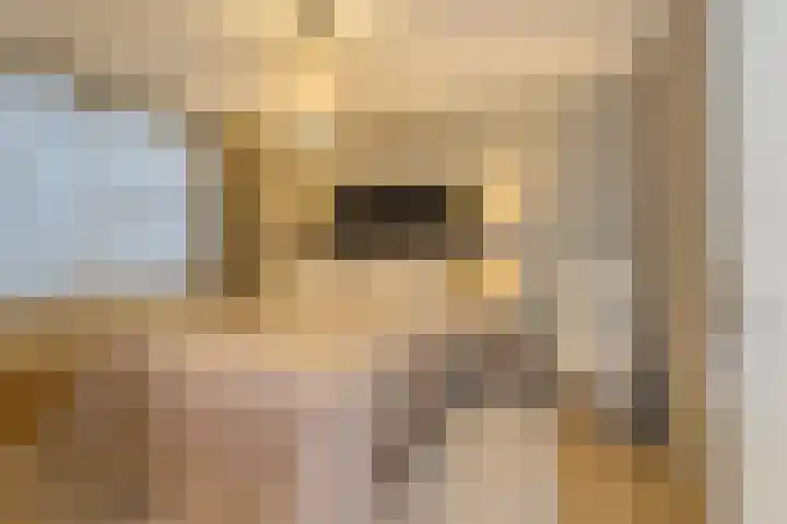 Zwanebloembocht 108 Velserbroek thumbnail 29