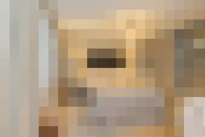 Zwanebloembocht 108 Velserbroek thumbnail 30