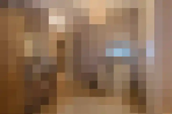 Zwanebloembocht 108 Velserbroek thumbnail 35