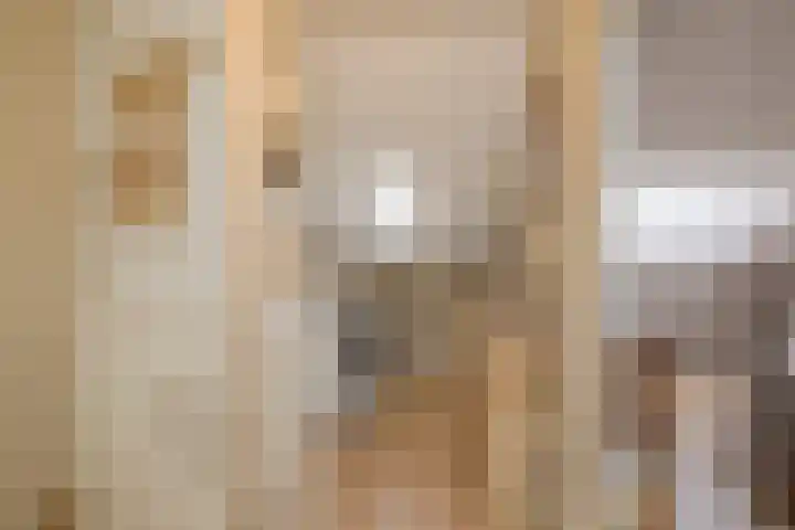 Zwanebloembocht 108 Velserbroek thumbnail 38
