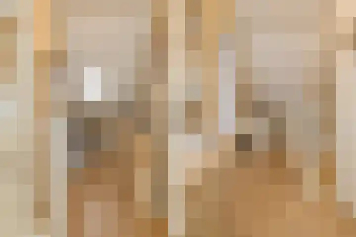 Zwanebloembocht 108 Velserbroek thumbnail 39