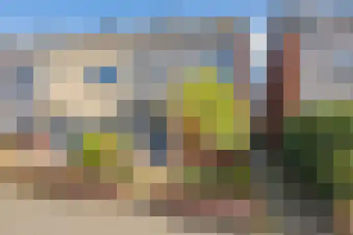 Zwanebloembocht 108 Velserbroek thumbnail 44