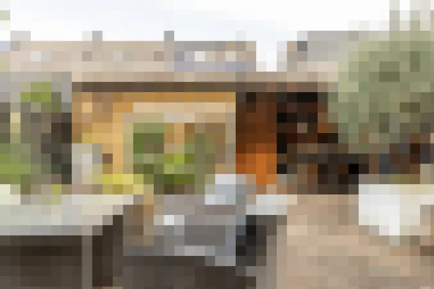 Zwanebloembocht 156 Velserbroek thumbnail 23