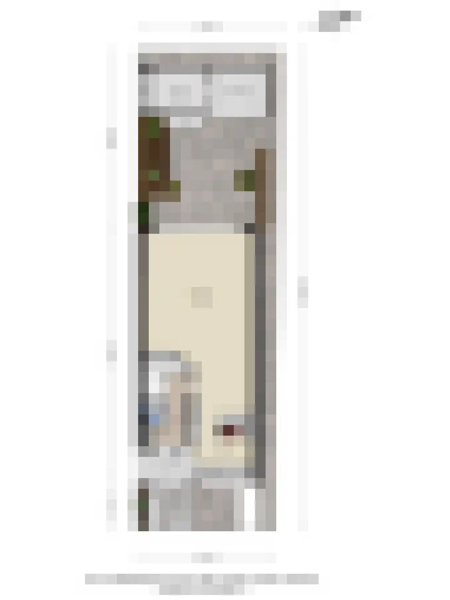 Zwanebloembocht 156 Velserbroek thumbnail 46