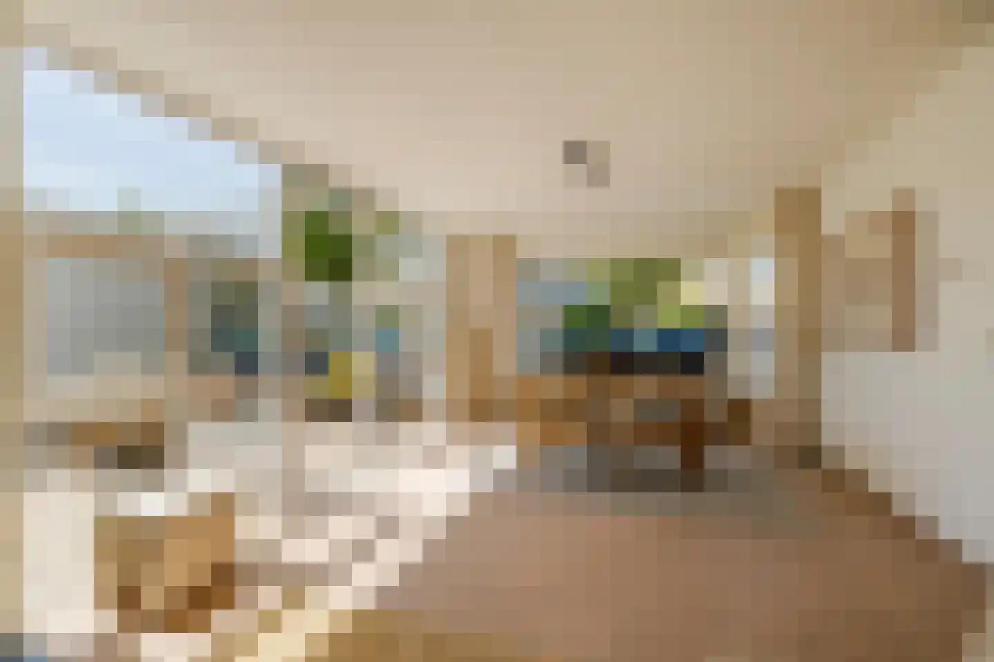 Zwanebloembocht 199 Velserbroek thumbnail 13