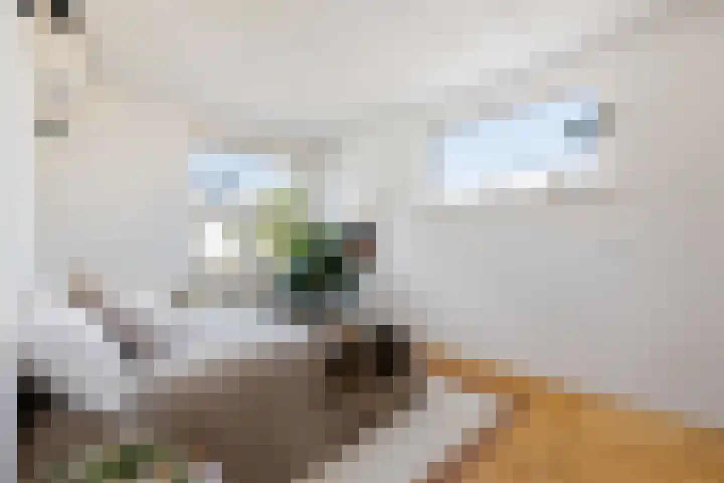 Zwanebloembocht 199 Velserbroek thumbnail 18