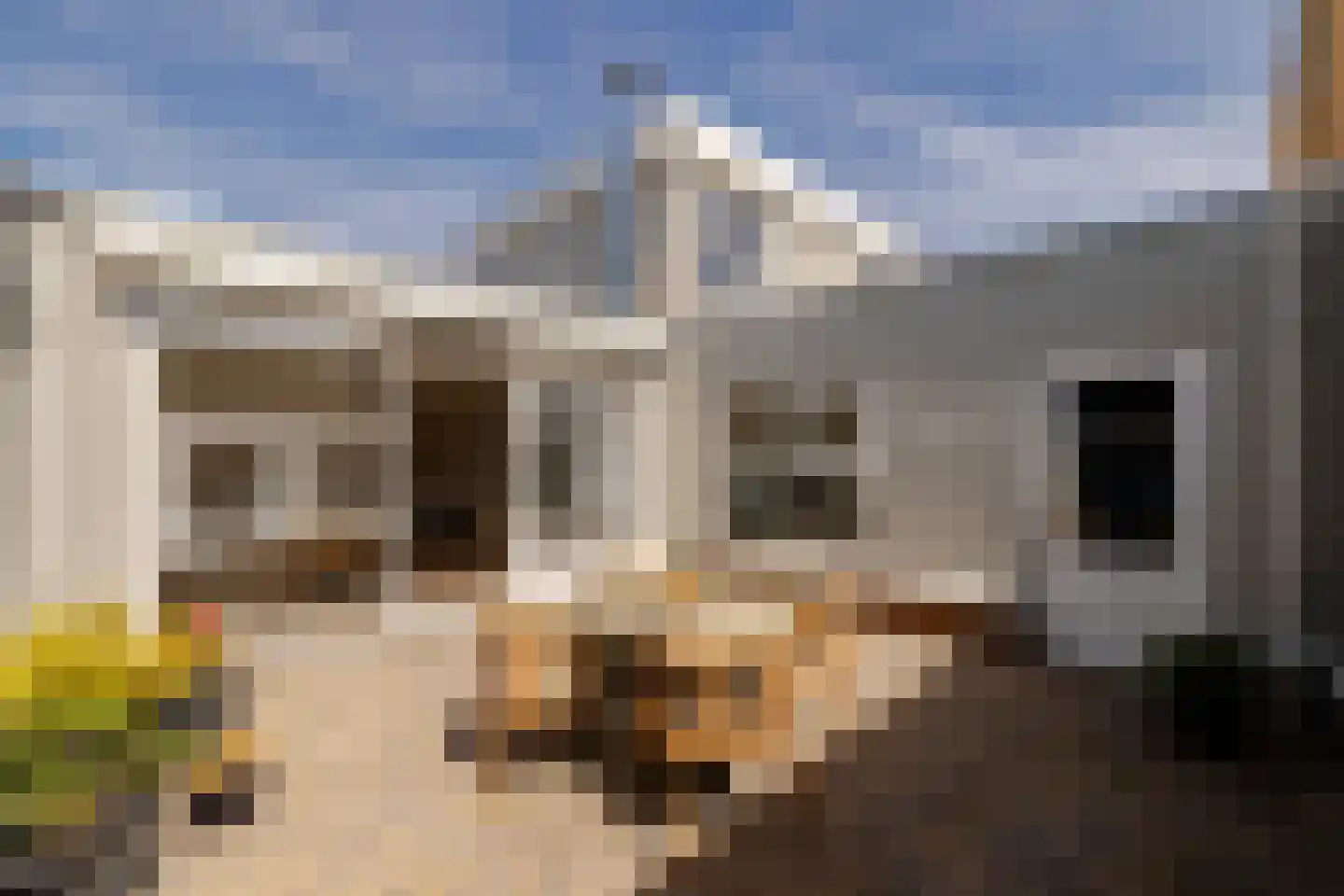Zwanebloembocht 199 Velserbroek thumbnail 20