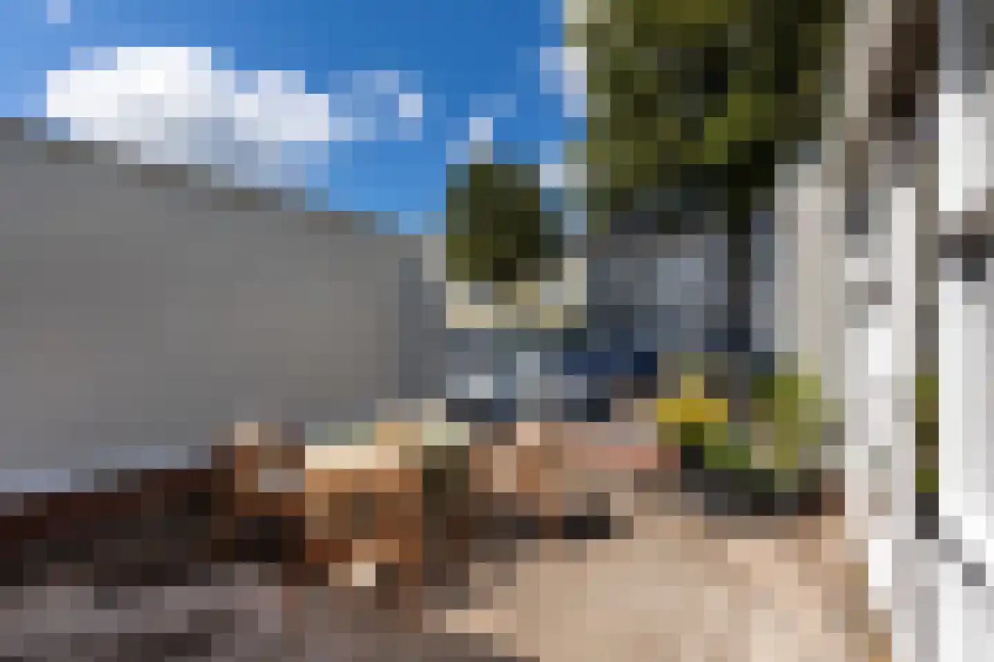 Zwanebloembocht 199 Velserbroek thumbnail 21
