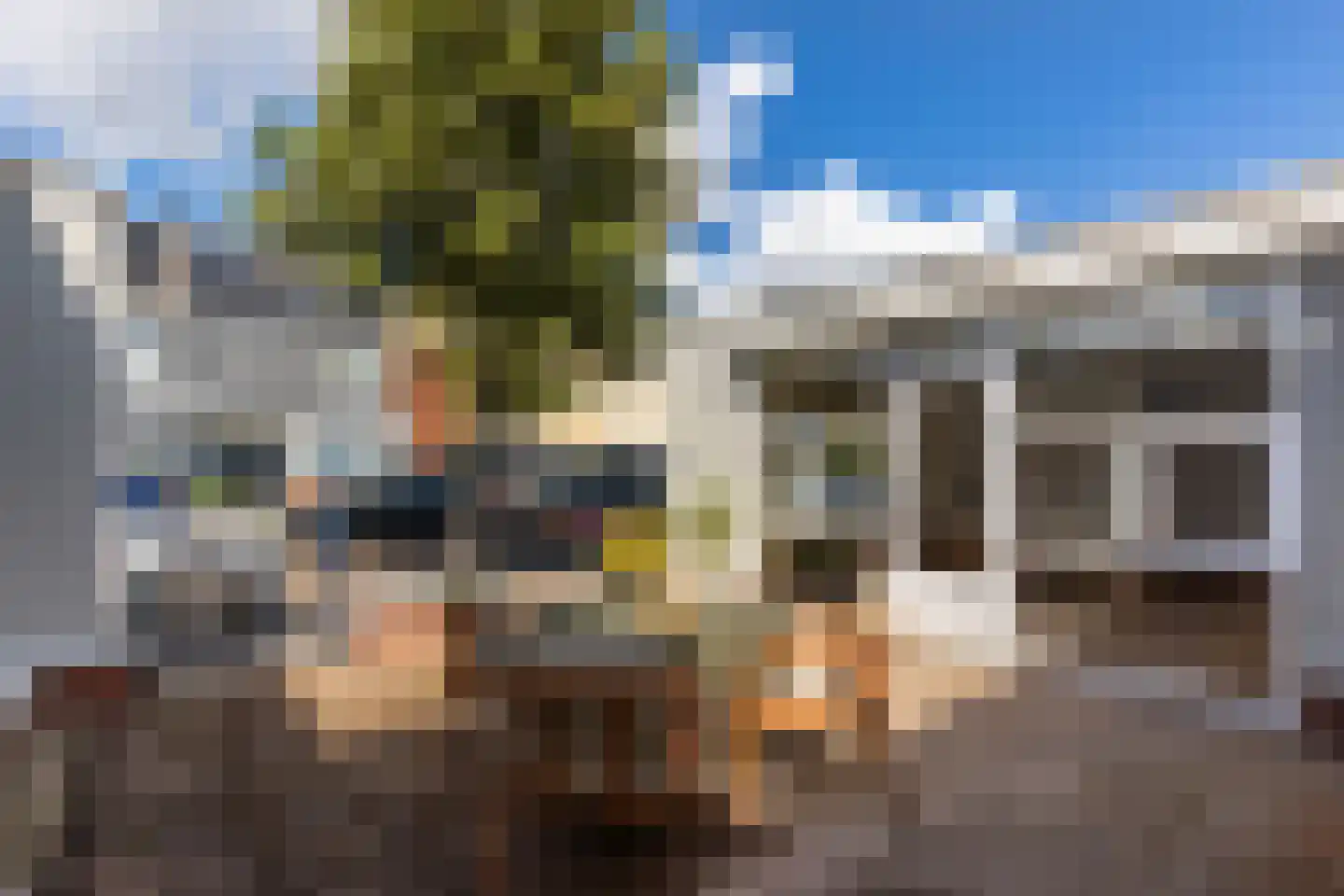 Zwanebloembocht 199 Velserbroek thumbnail 22