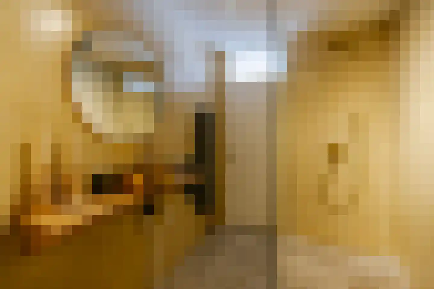 Zwanebloembocht 199 Velserbroek thumbnail 27