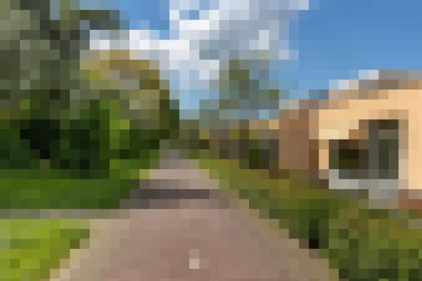 Zwanebloembocht 199 Velserbroek thumbnail 30