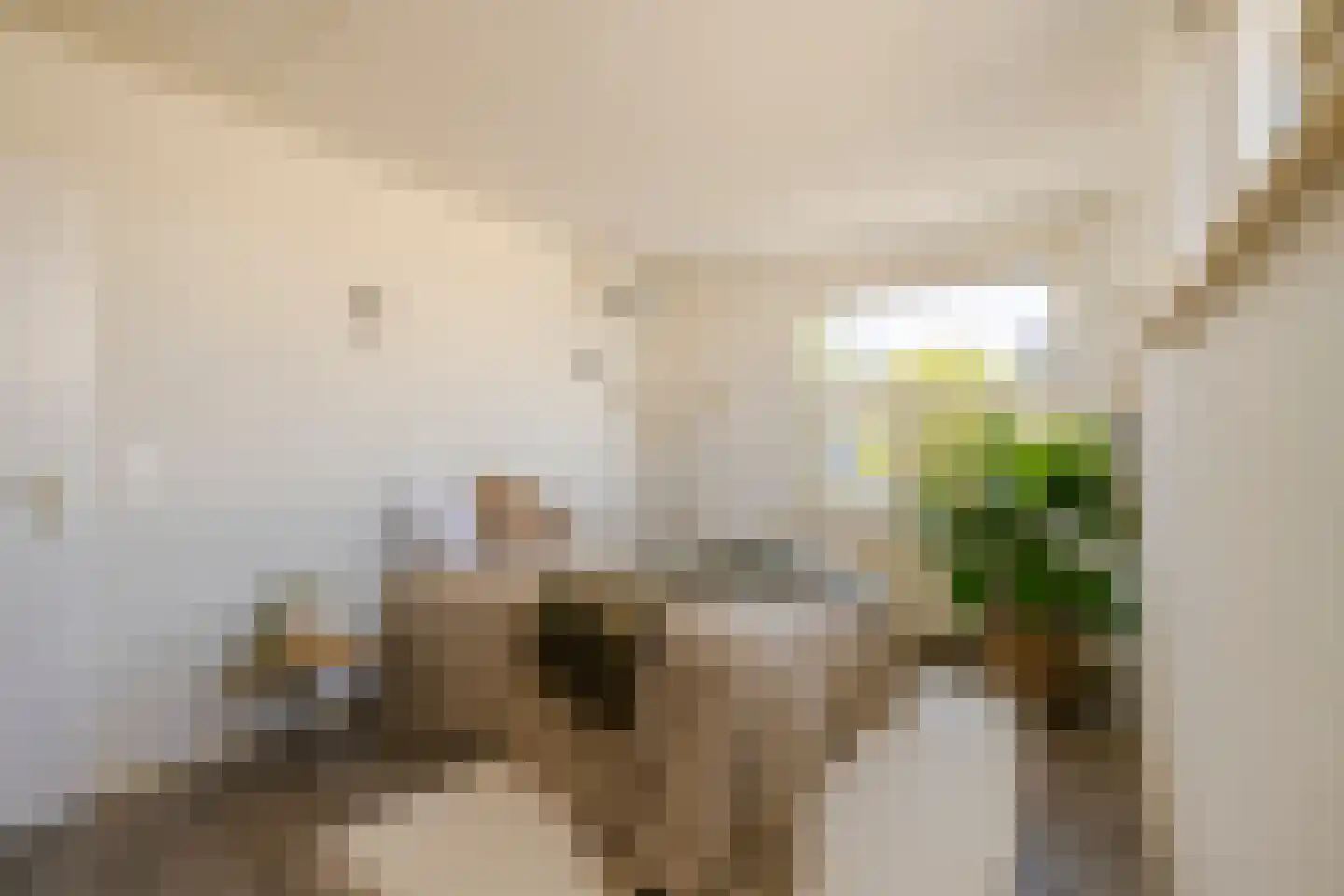 Zwanebloembocht 199 Velserbroek thumbnail 30