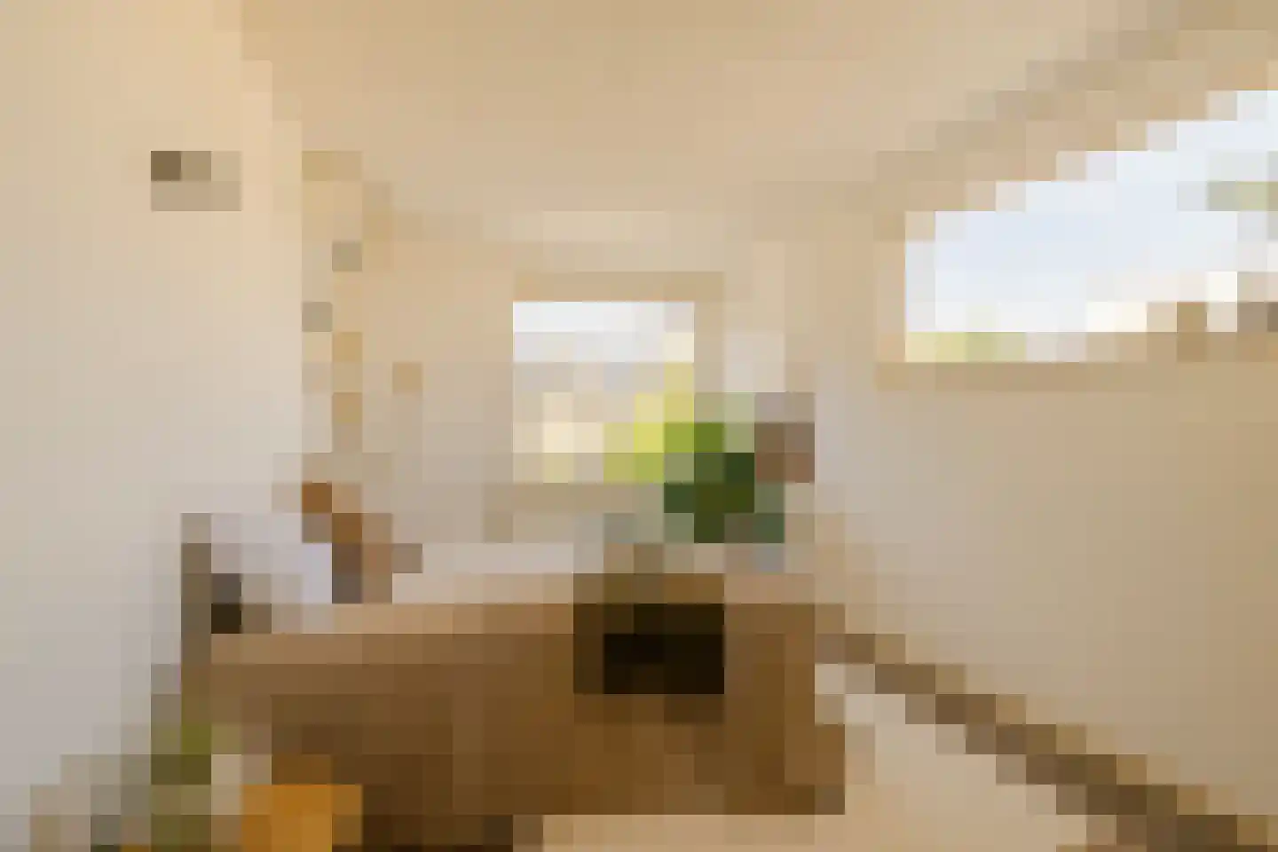 Zwanebloembocht 199 Velserbroek thumbnail 31