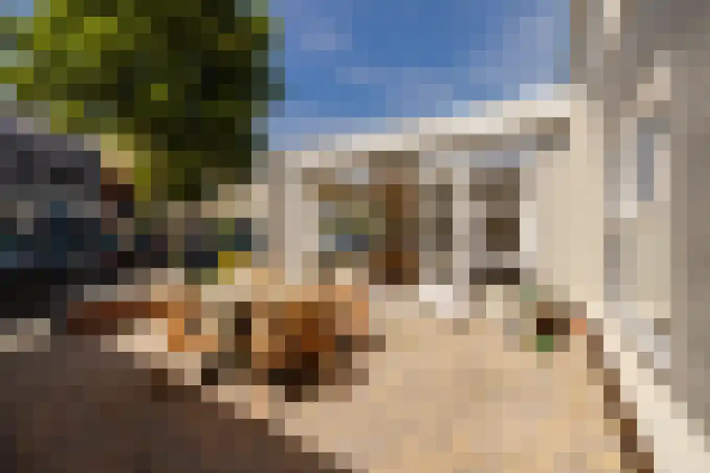 Zwanebloembocht 199 Velserbroek thumbnail 4