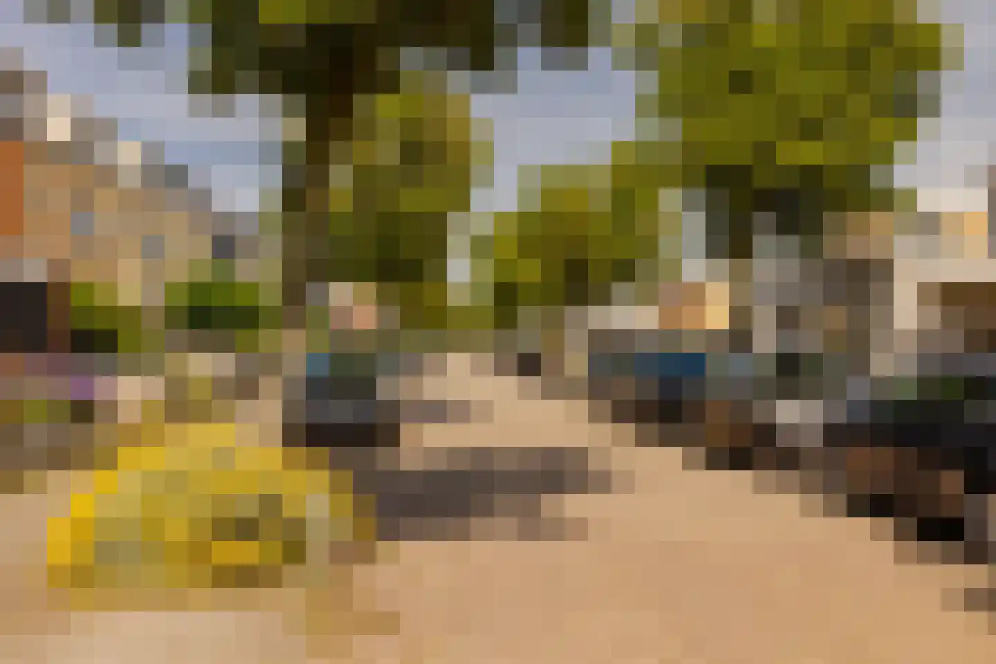 Zwanebloembocht 199 Velserbroek thumbnail 41
