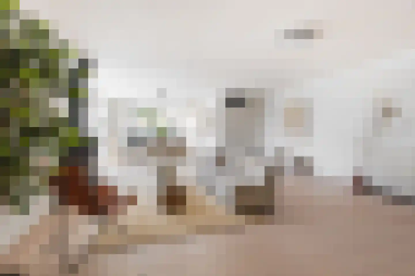 Zwanebloembocht 199 Velserbroek thumbnail 5