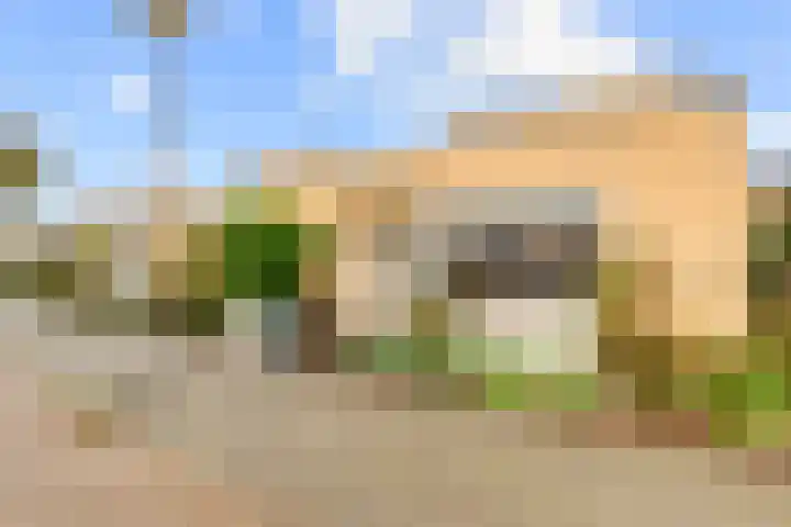 Zwanebloembocht 219 Velserbroek thumbnail 10