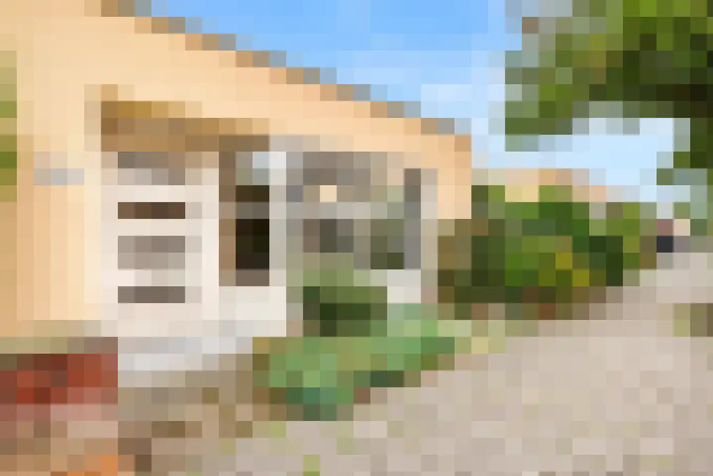 Zwanebloembocht 219 Velserbroek thumbnail 10