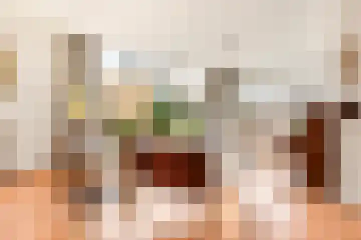 Zwanebloembocht 219 Velserbroek thumbnail 13