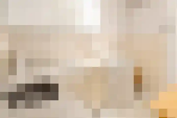 Zwanebloembocht 219 Velserbroek thumbnail 20