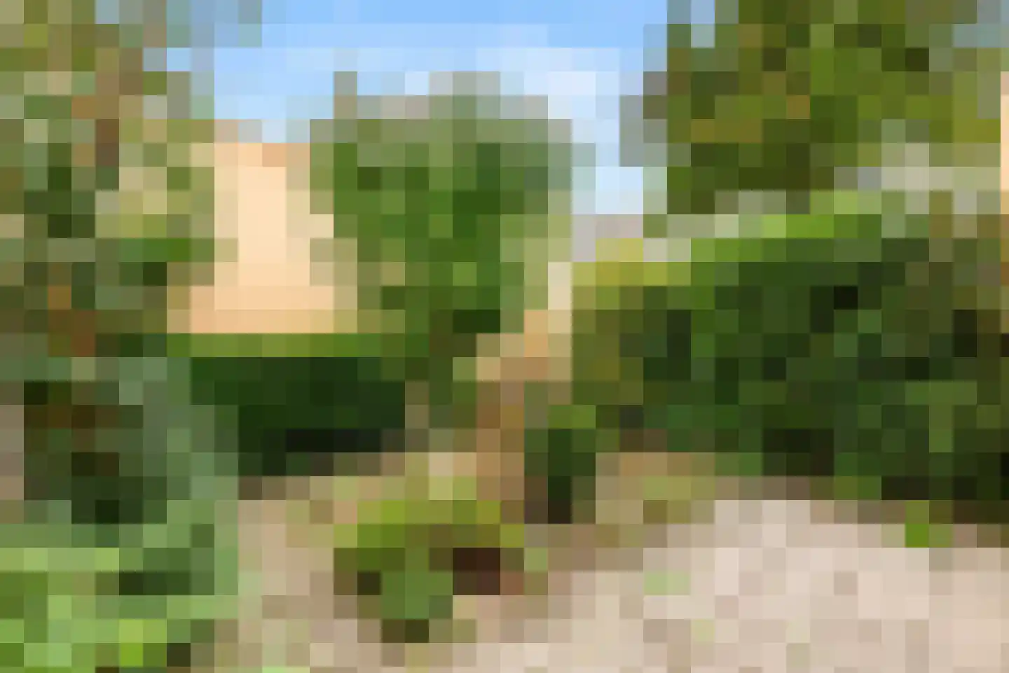 Zwanebloembocht 219 Velserbroek thumbnail 27