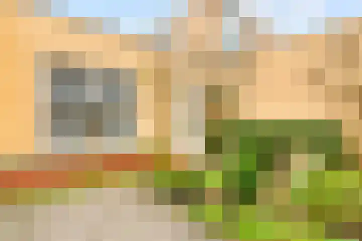 Zwanebloembocht 219 Velserbroek thumbnail 35