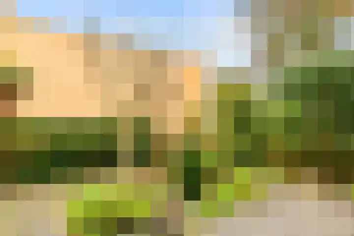 Zwanebloembocht 219 Velserbroek thumbnail 36