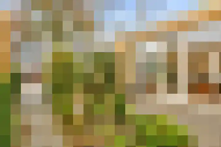 Zwanebloembocht 219 Velserbroek thumbnail 37