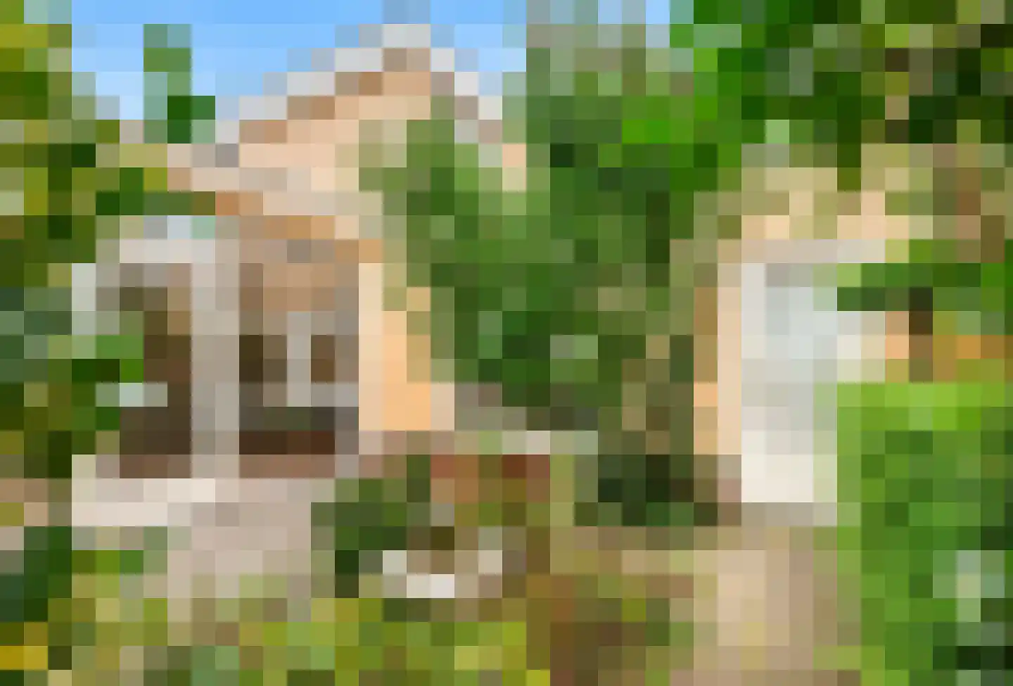 Zwanebloembocht 219 Velserbroek thumbnail 4