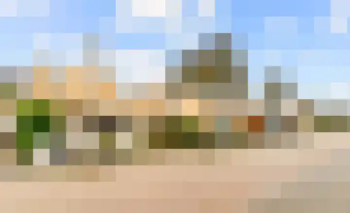 Zwanebloembocht 219 Velserbroek thumbnail 6