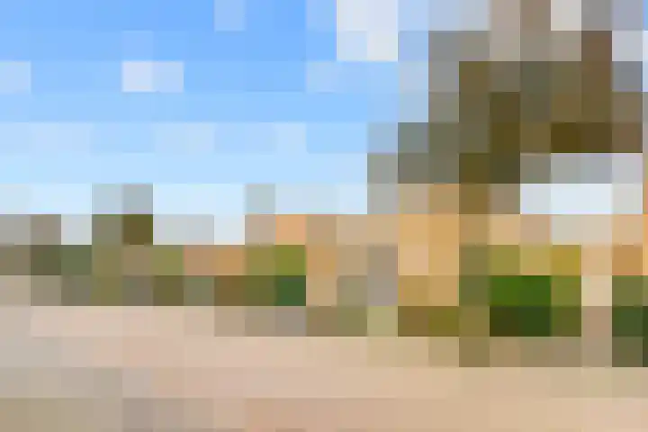 Zwanebloembocht 219 Velserbroek thumbnail 7