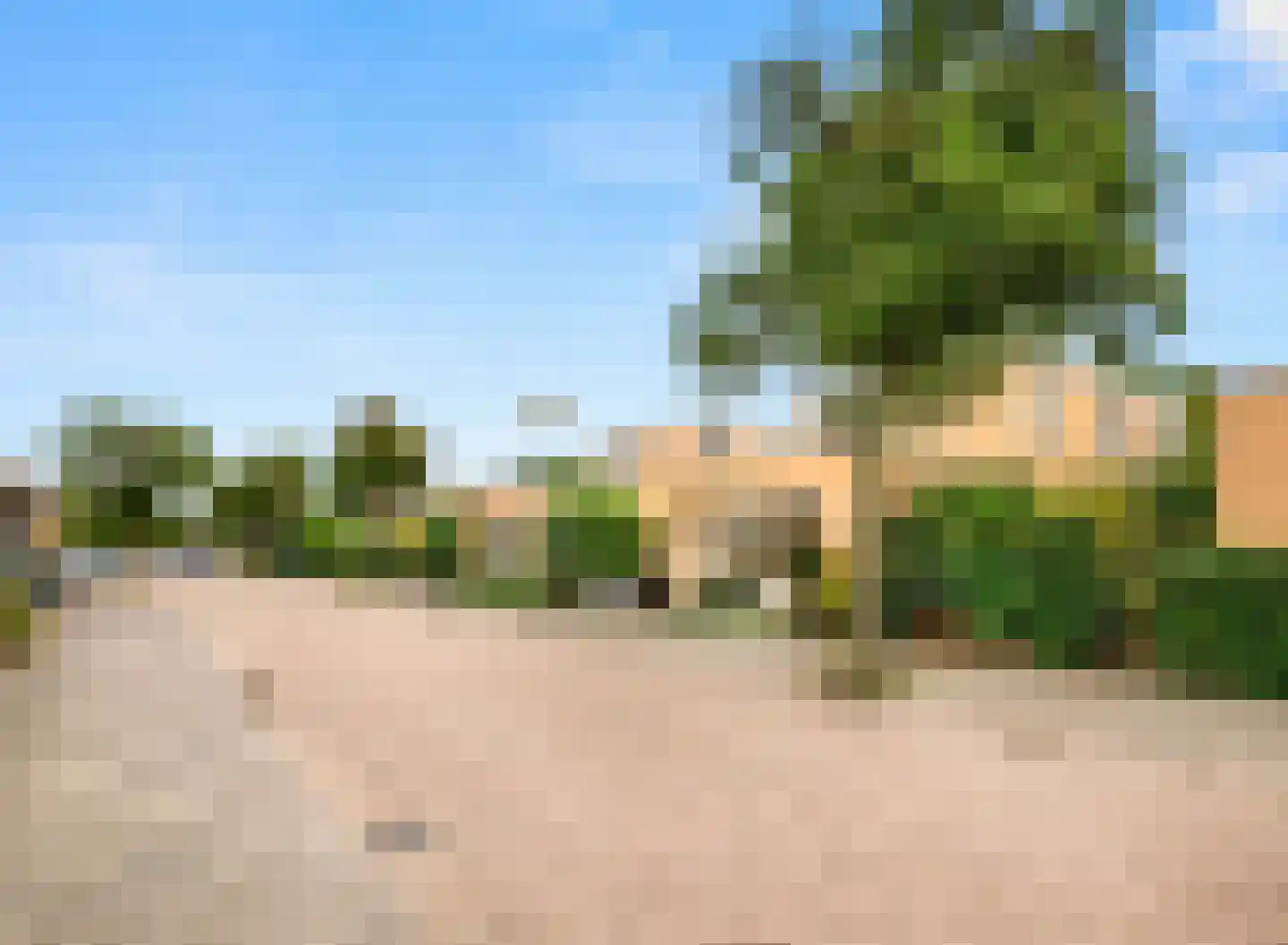 Zwanebloembocht 219 Velserbroek thumbnail 8